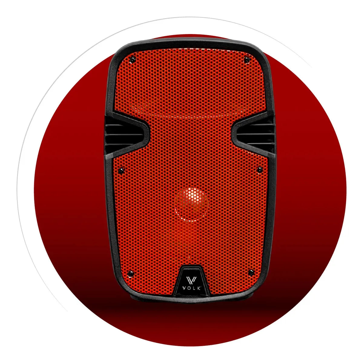 PARLANTE PROFESIONAL BLUETOOTH