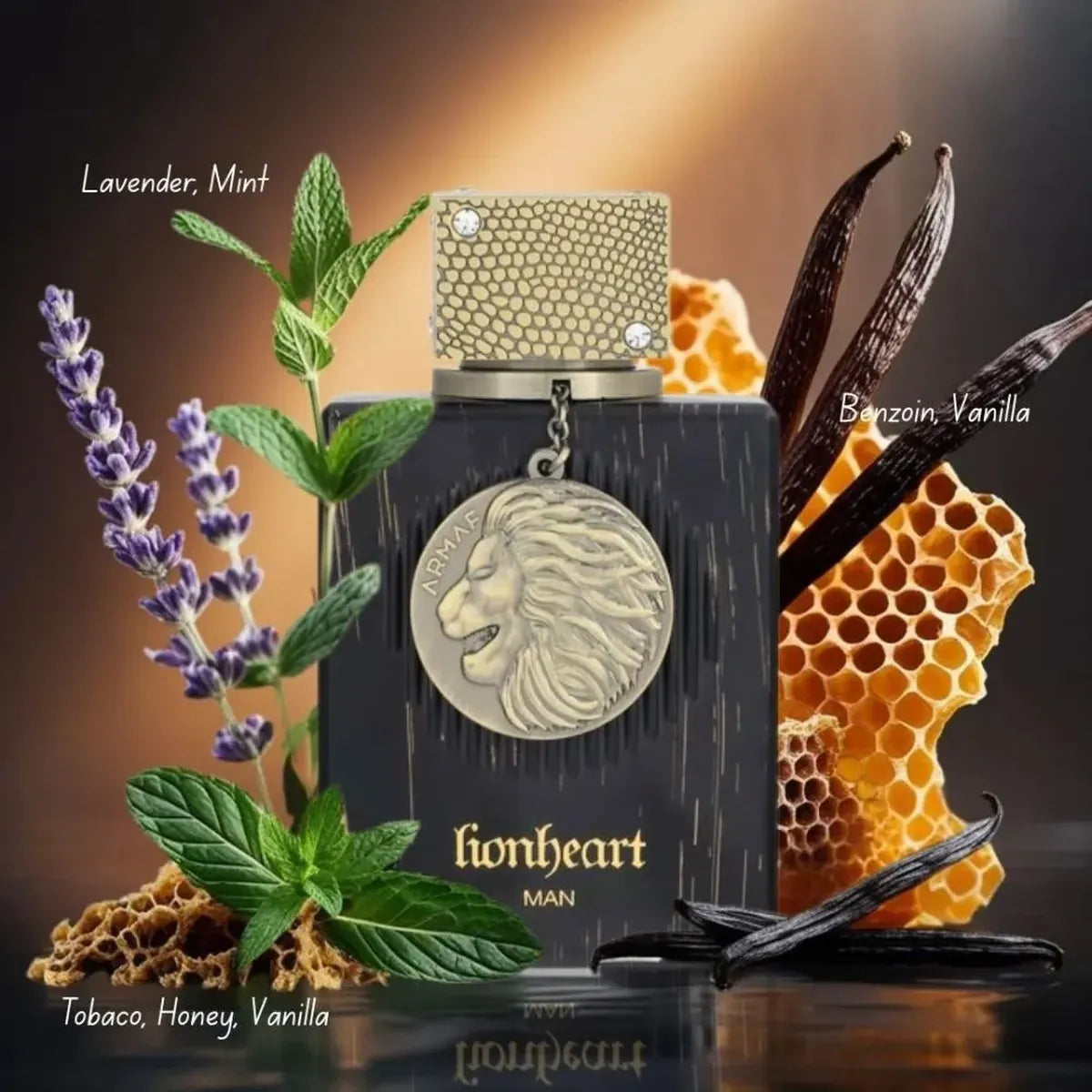 CLUB DE NUIT LIONHEART