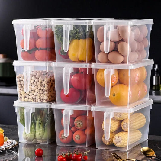 ORGANIZADOR CON TAPA TRANSPARENTE X3