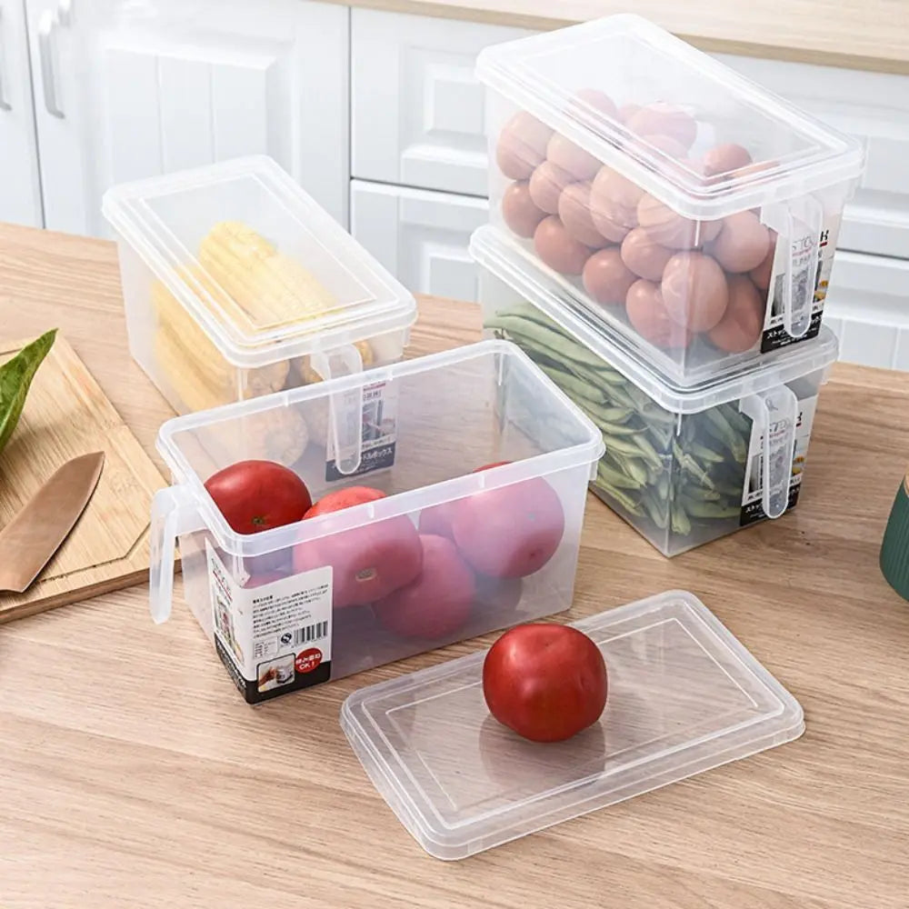 ORGANIZADOR CON TAPA TRANSPARENTE X3
