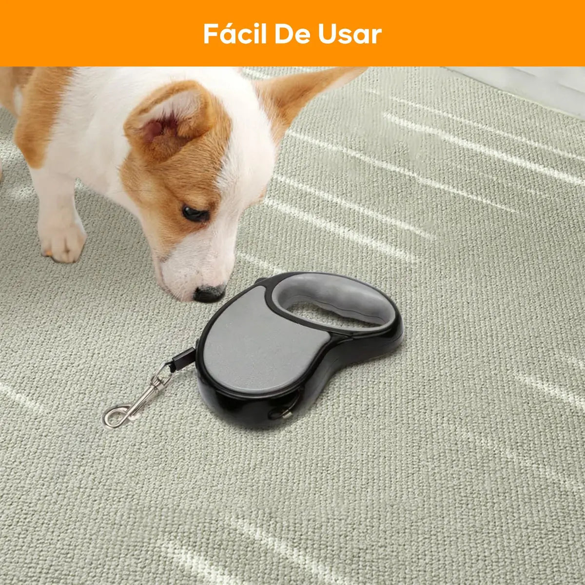 CORREA MASCOTA RETRÁCTIL 5 MTS