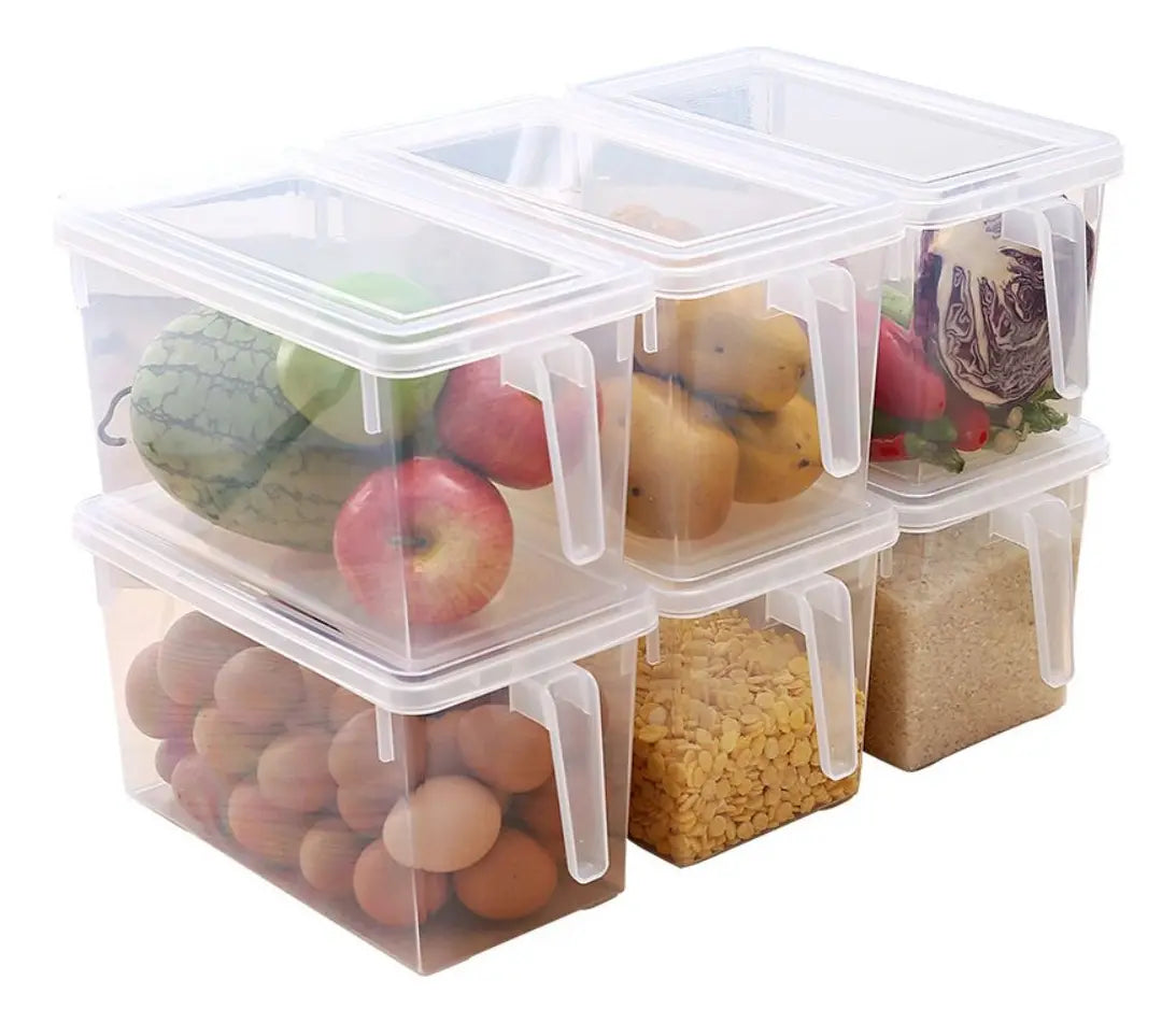 ORGANIZADOR CON TAPA TRANSPARENTE X3